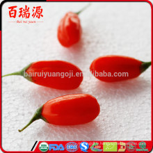 Chine baies de blushwood ningxia baie de goji herbes de dragon goji berry